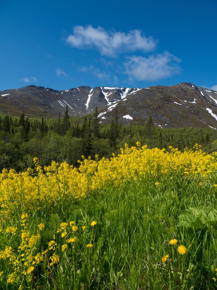 Photograph by Шейко Анна