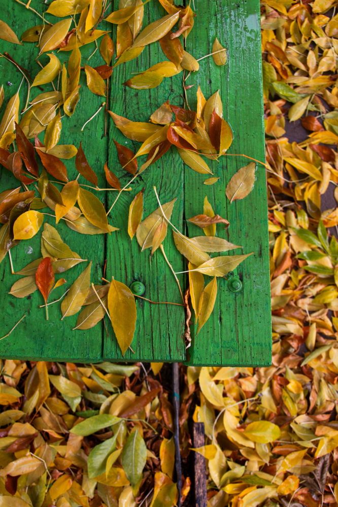 Photograph by Вакулина Марина