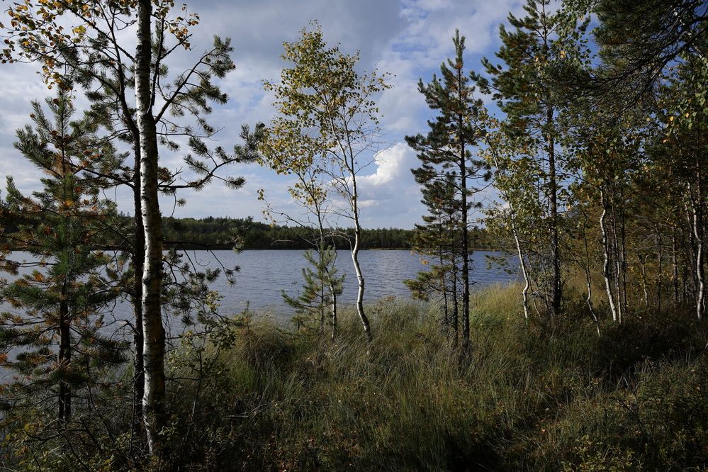 Photograph by АНДРЕЙ МИТЮРИН