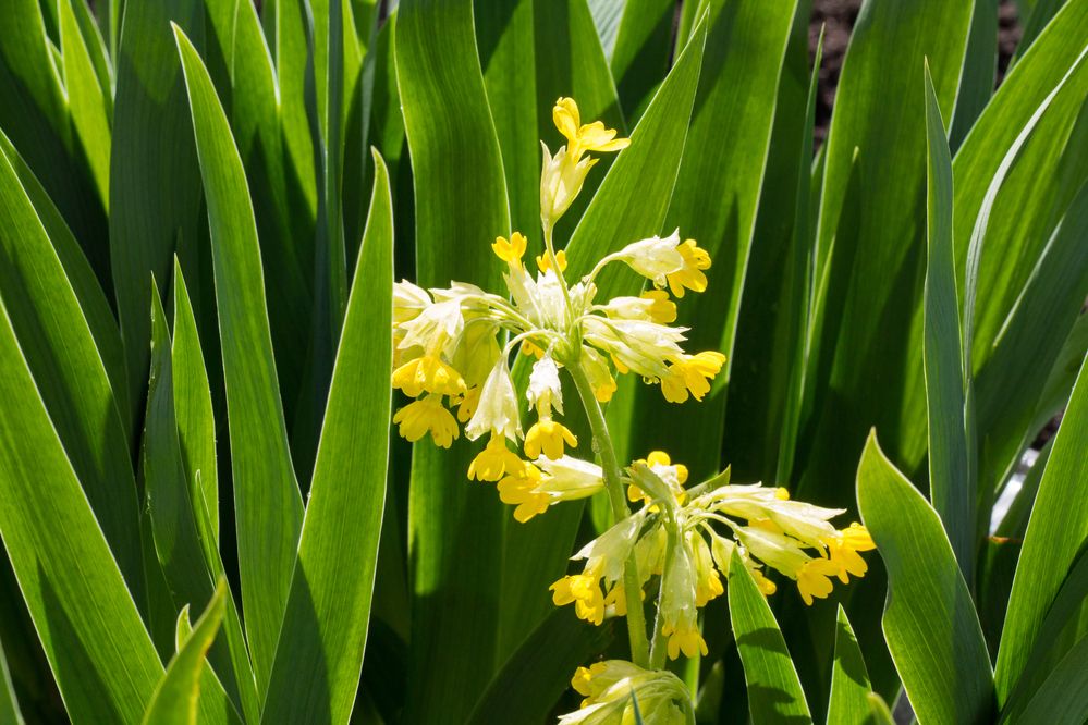 Фотография автора Дарья Рогозина