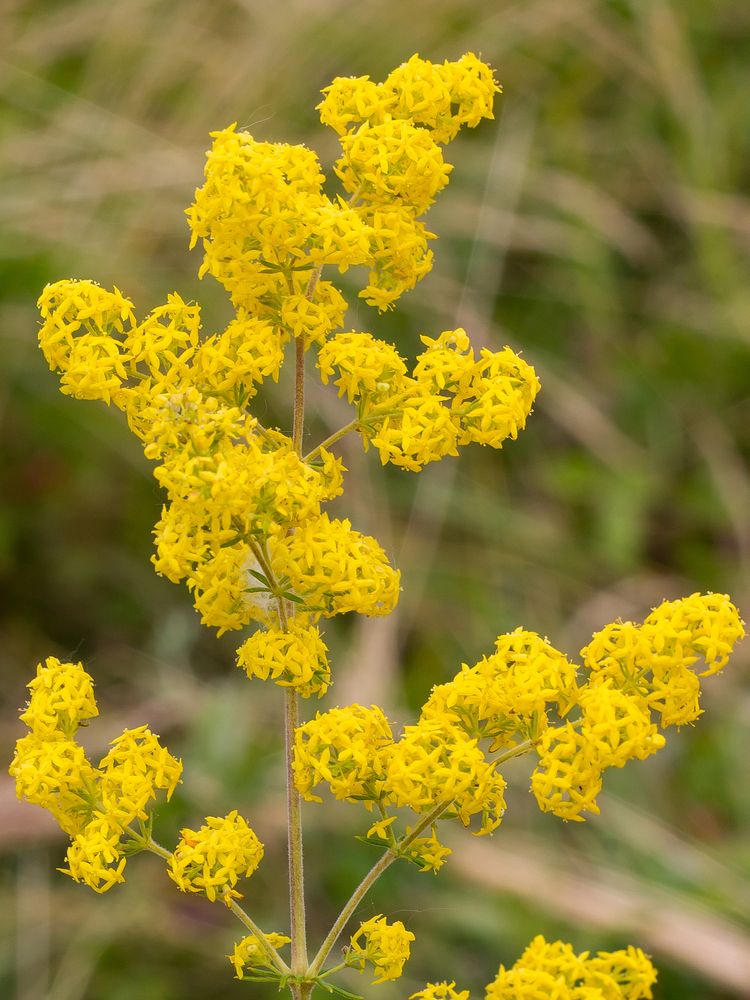 Фотография автора Дарья Рогозина