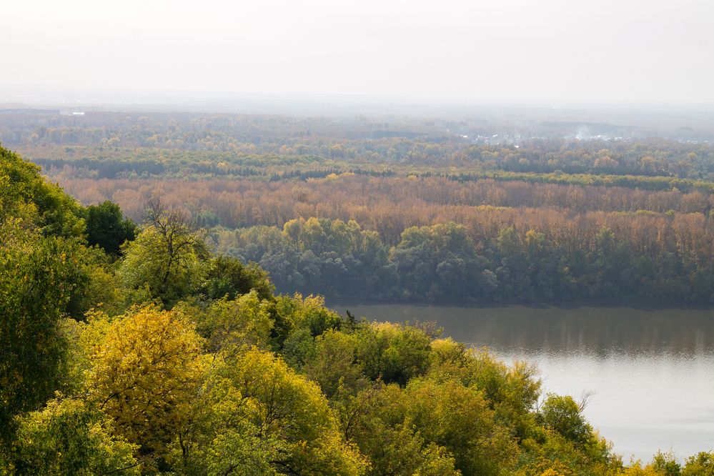 Фотография автора Дарья Рогозина