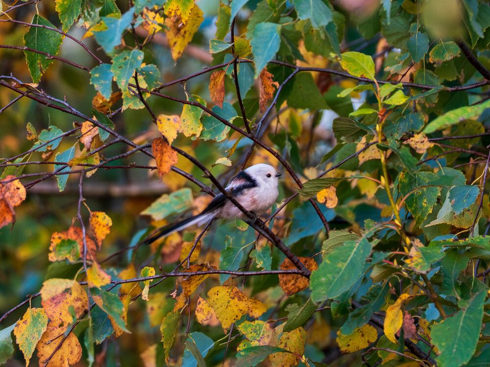 Photograph by Яков Фрудгарт