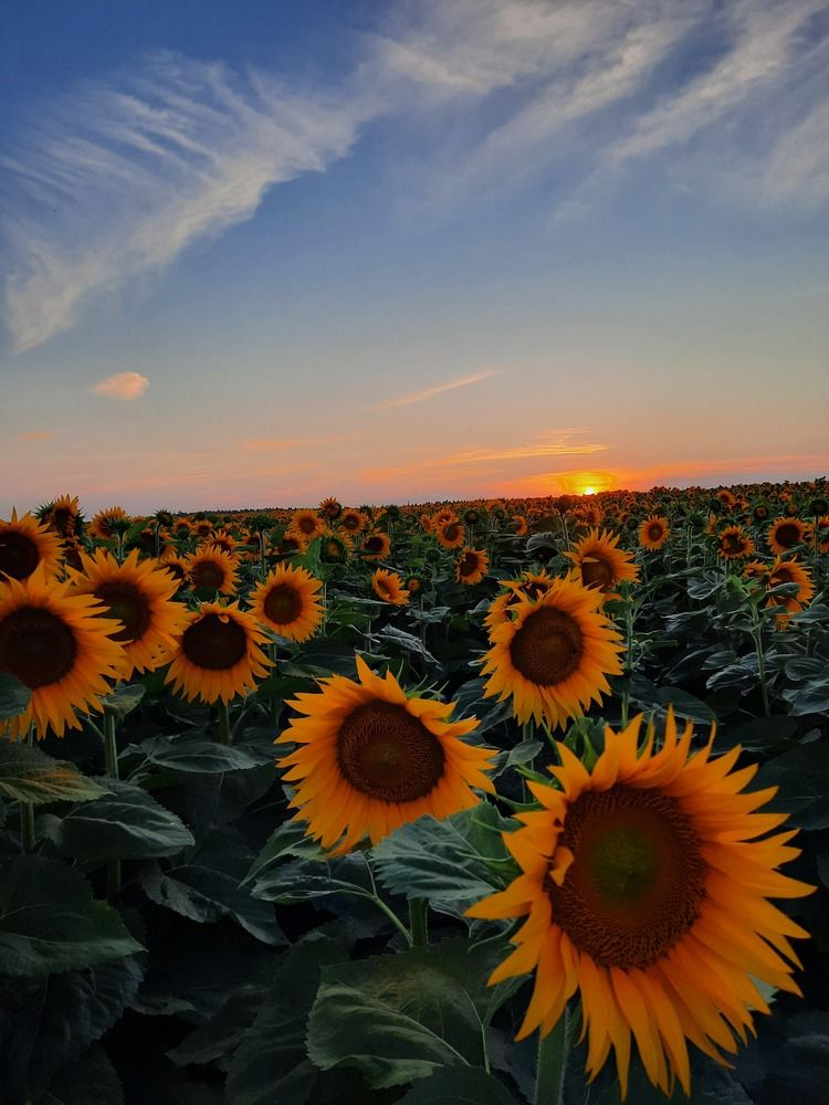 Фотография автора Татьяна Прашкевич