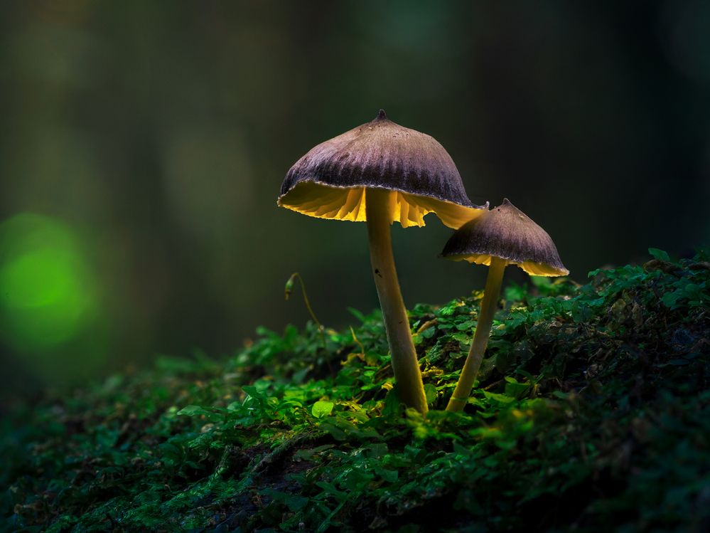 Photograph by Valdir Hobus