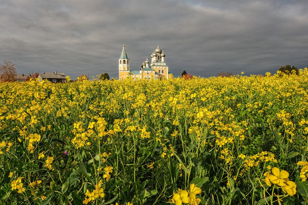 Photograph by Галина Юдина