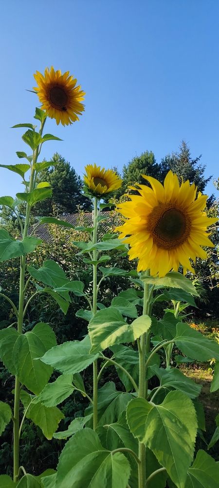 Photograph by Олена Бокова