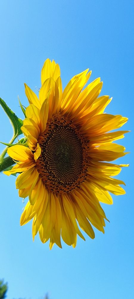 Photograph by Олена Бокова