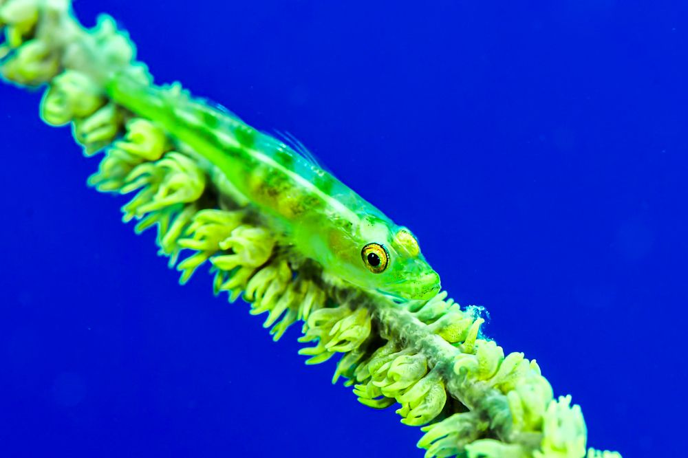 Photograph by nishijima takayuki