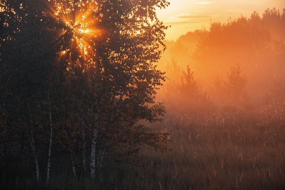 Photograph by Анна Любимова