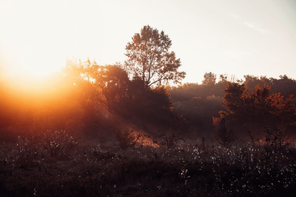 Photograph by Анна Любимова