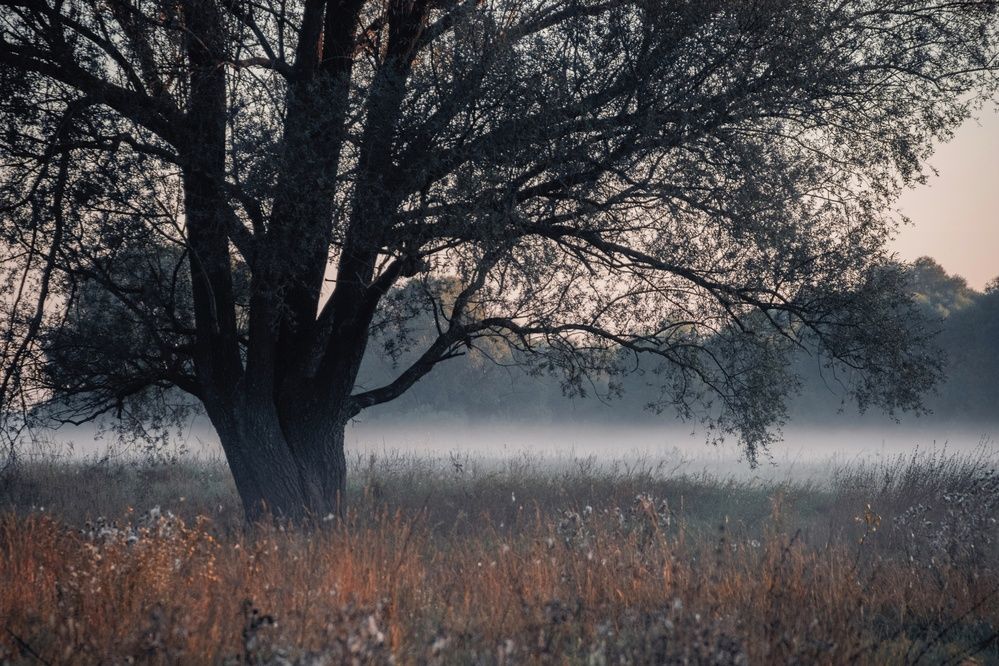 Photograph by Анна Любимова