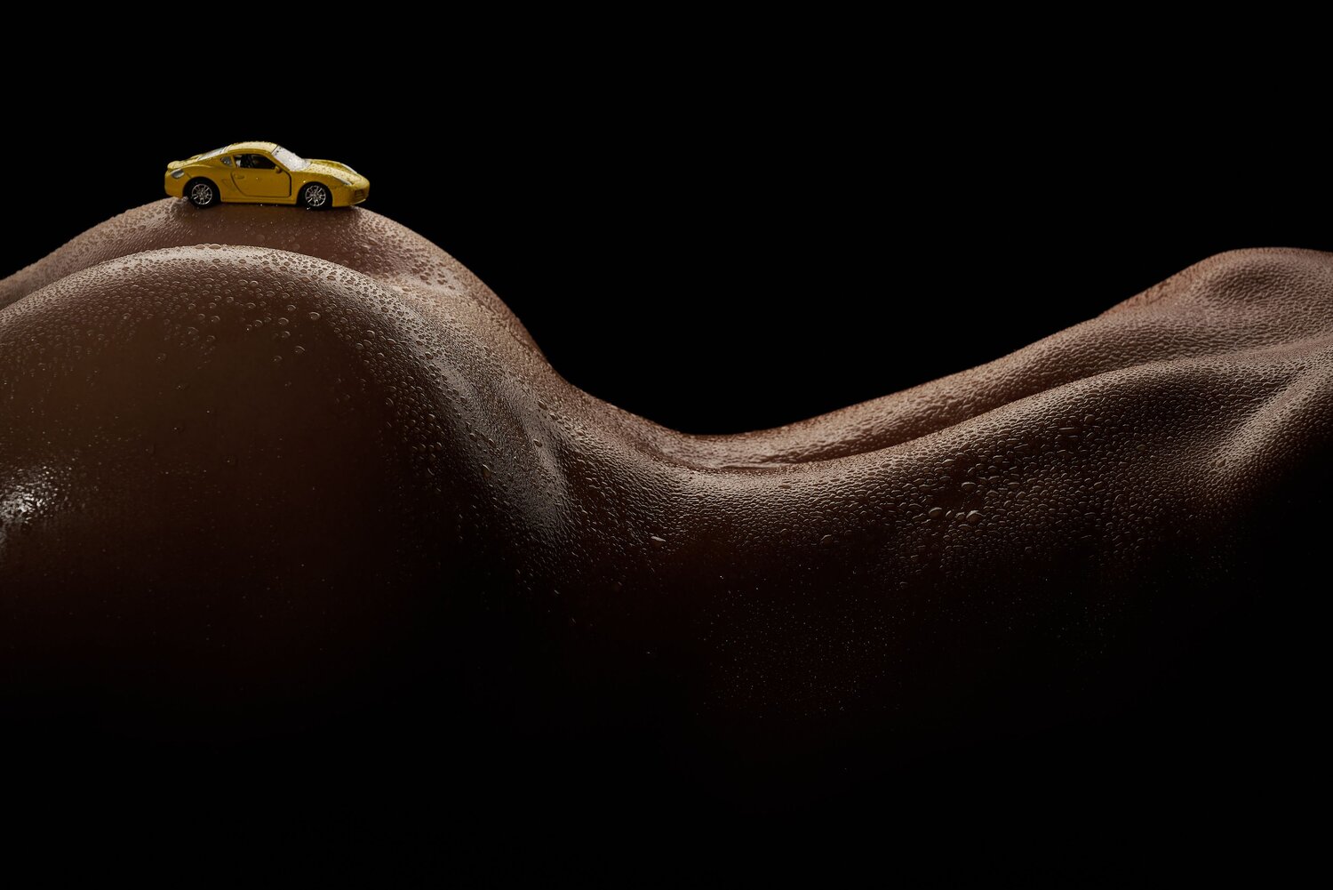 Фотография #12615722