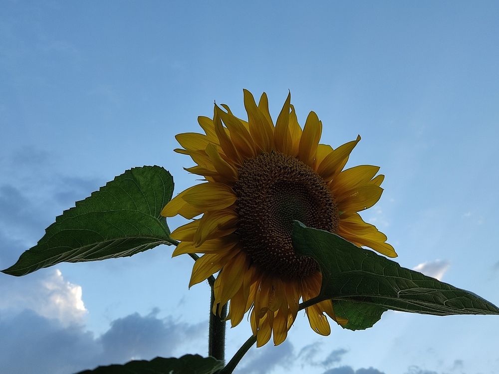 Photograph by Олена Бокова