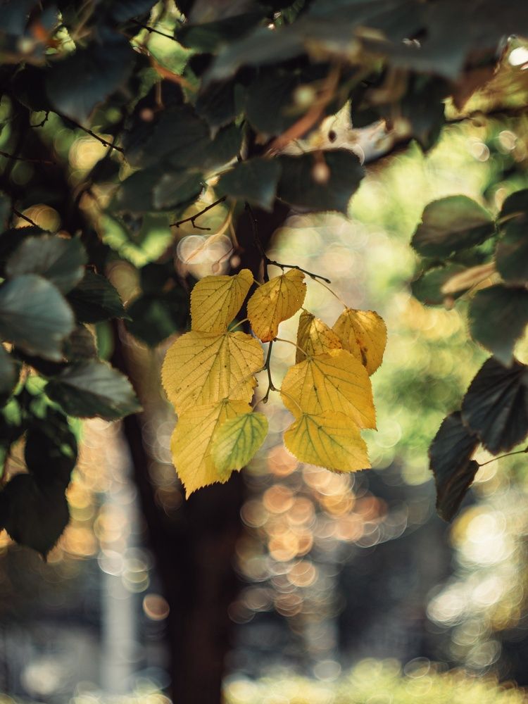 Photograph by Анна Любимова