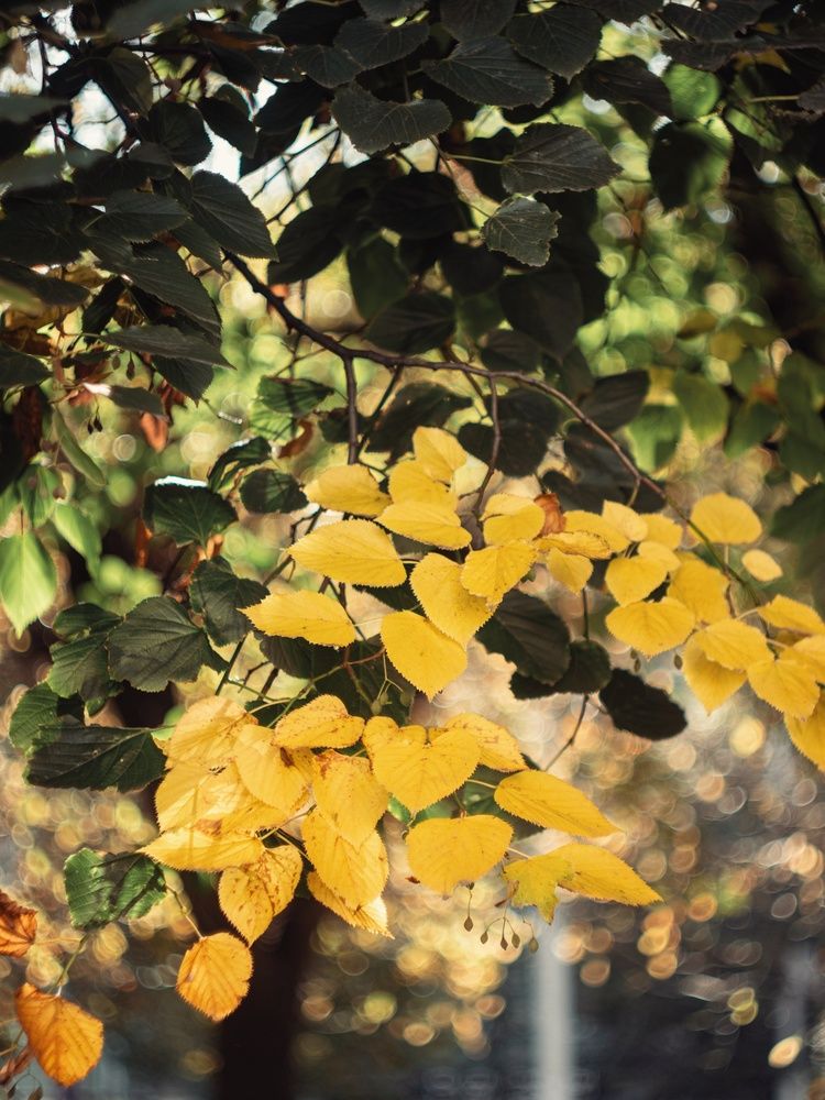 Photograph by Анна Любимова