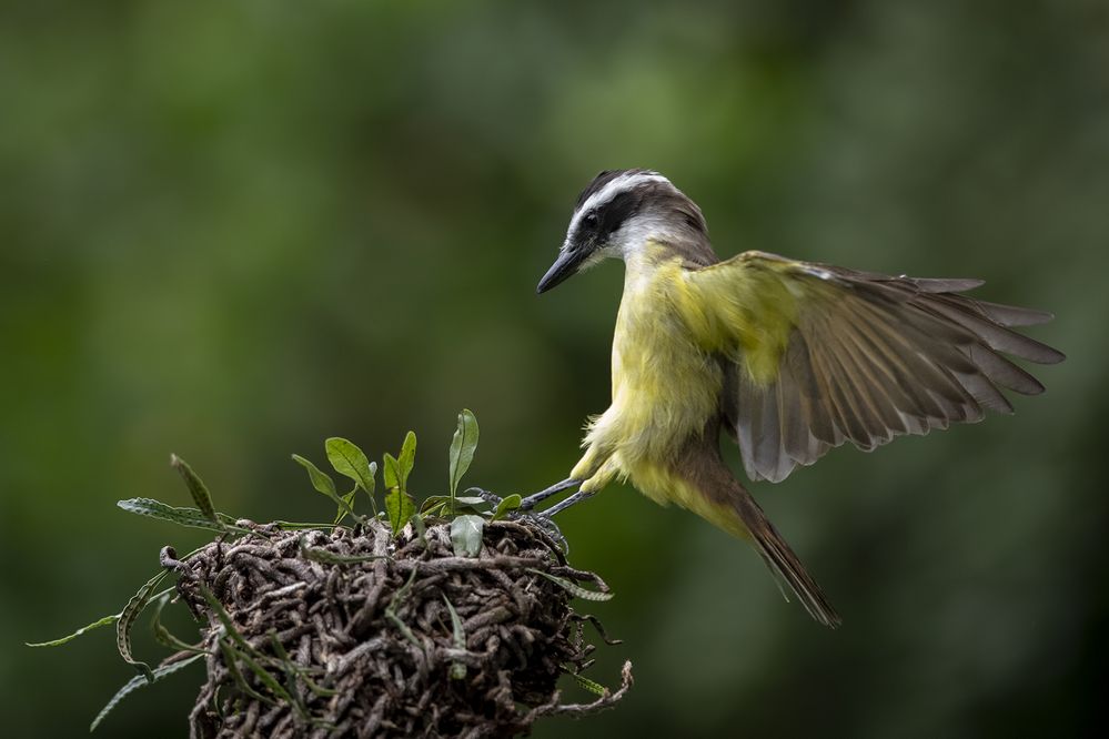 Photograph by Esteban Argerich