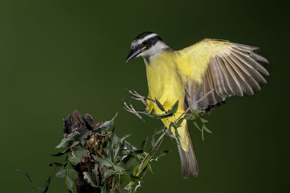 Photograph by Esteban Argerich