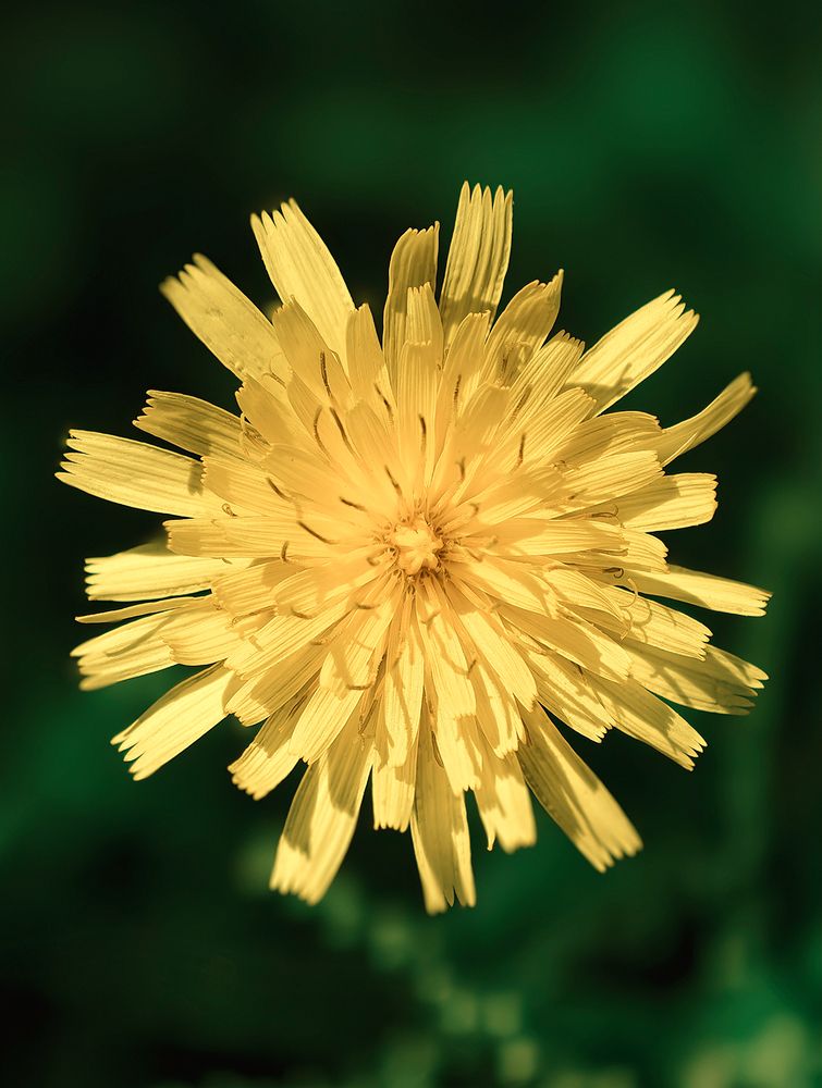 Фотография автора Николай Бо