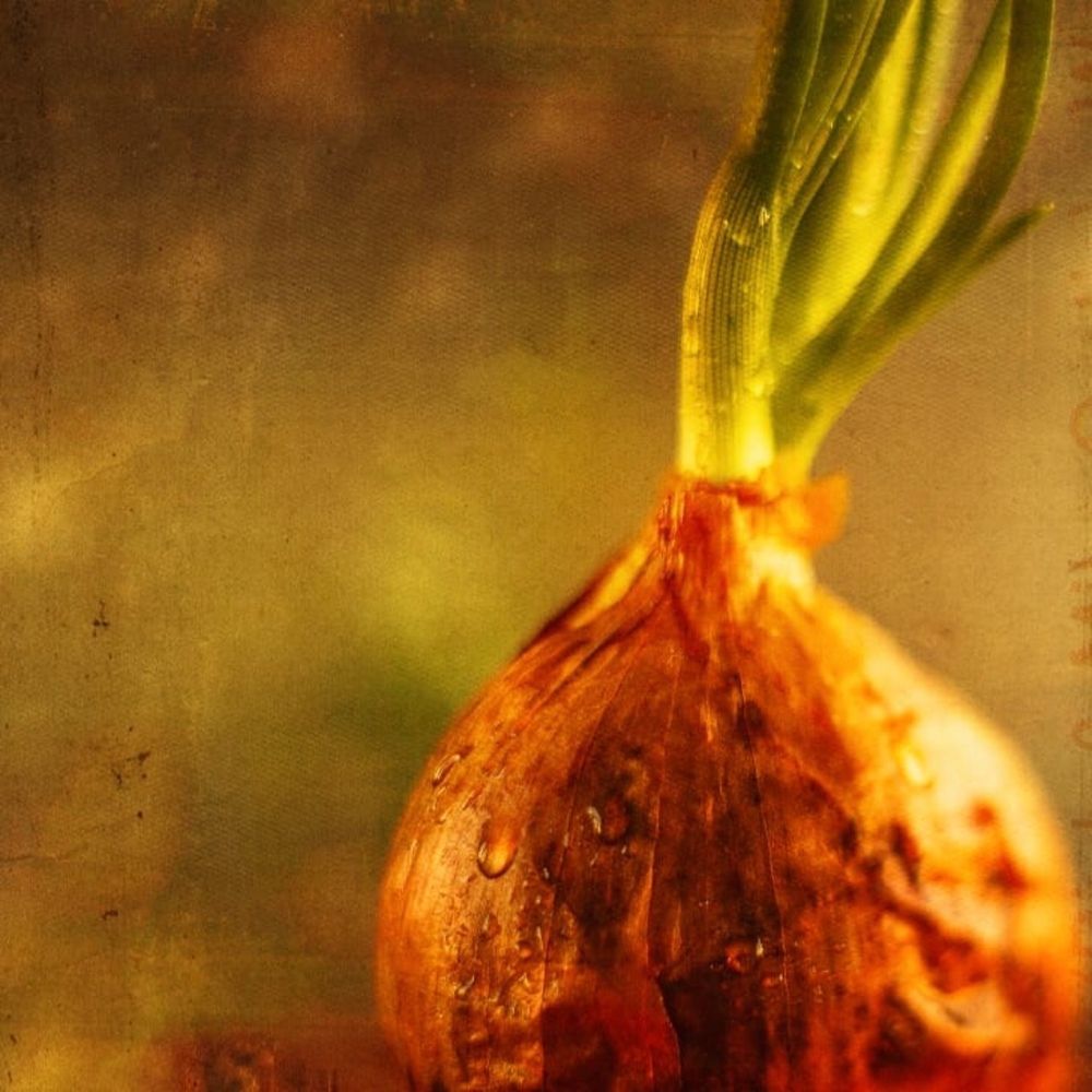 Photograph by Ольга Беспалько