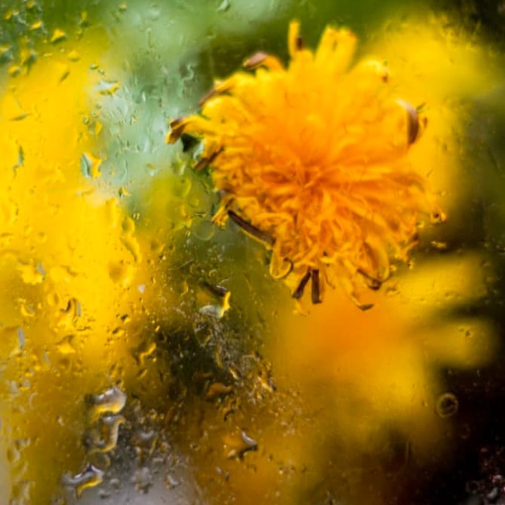 Photograph by Ольга Беспалько