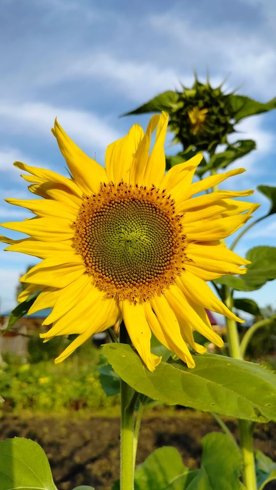 Photograph by Анастасия Горбачева