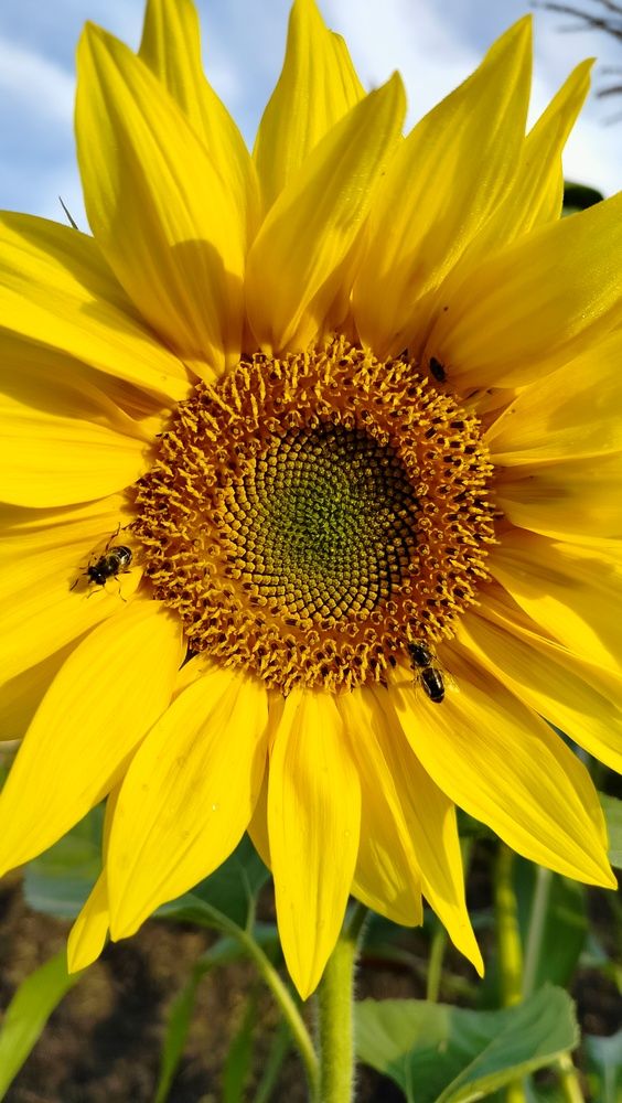 Photograph by Анастасия Горбачева