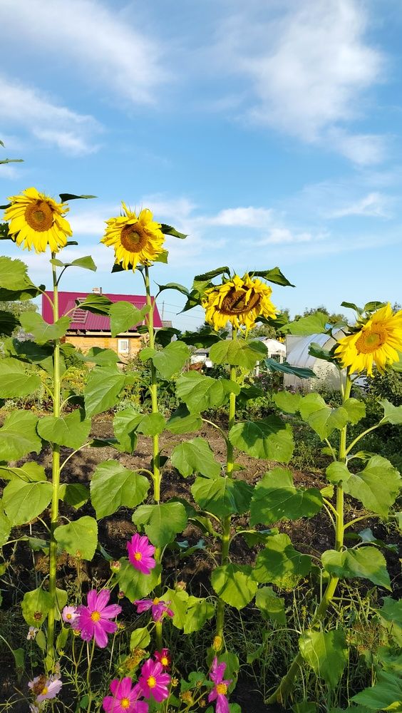 Photograph by Анастасия Горбачева