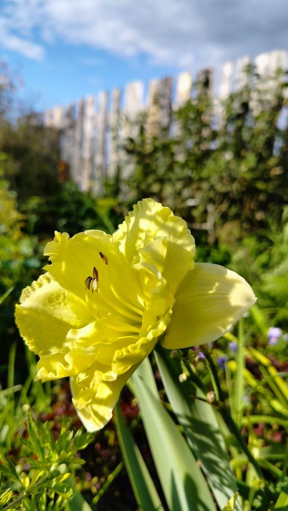 Photograph by Анастасия Горбачева