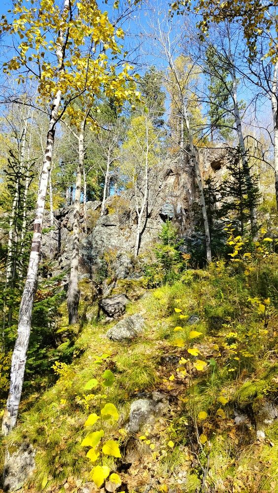 Photograph by Анастасия Горбачева