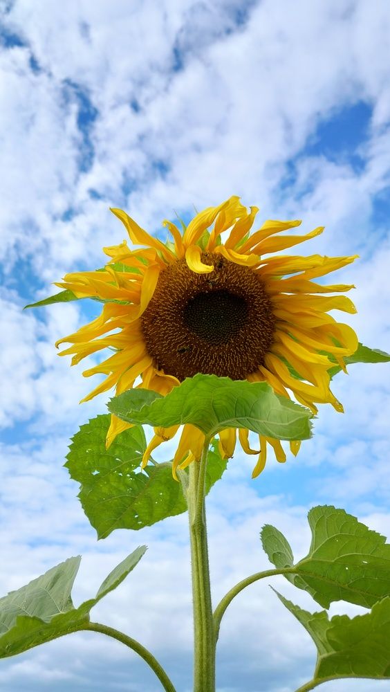 Photograph by Анастасия Горбачева