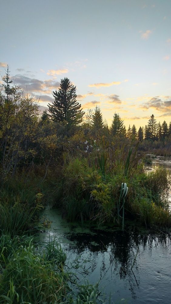 Photograph by Анастасия Горбачева