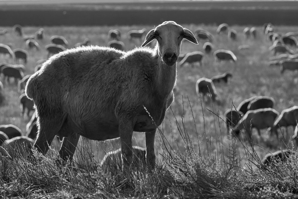 Photograph by Dimitri Bakhtadze