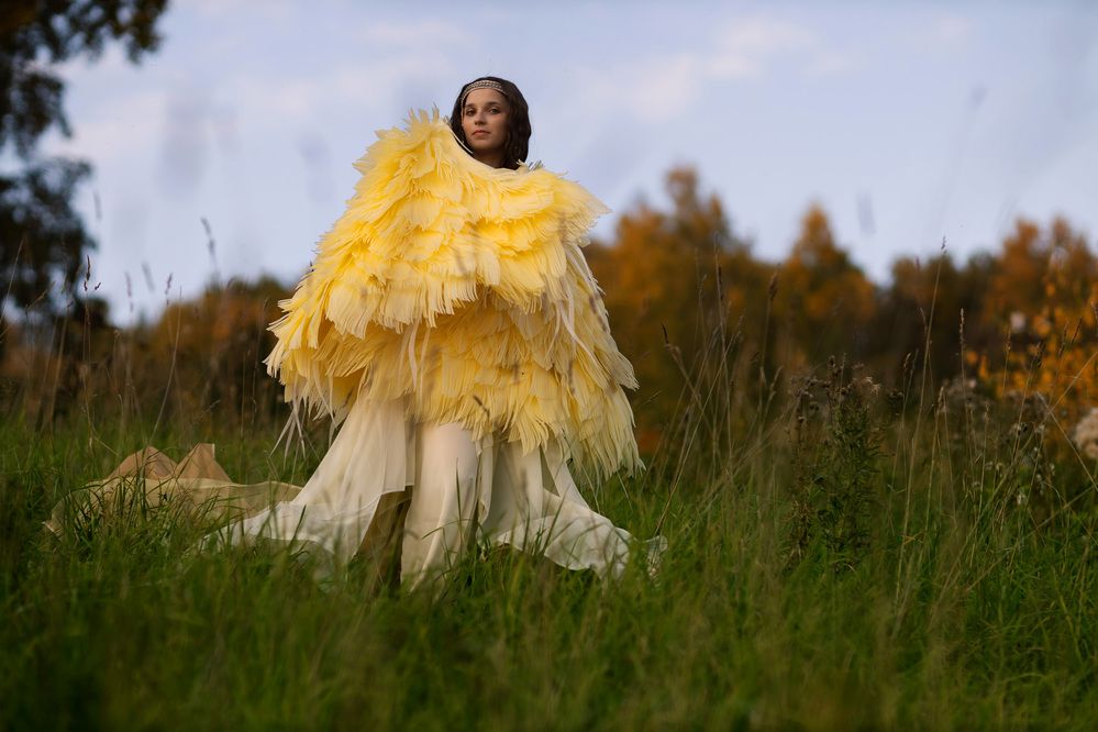 Фотография автора Александр Паничев