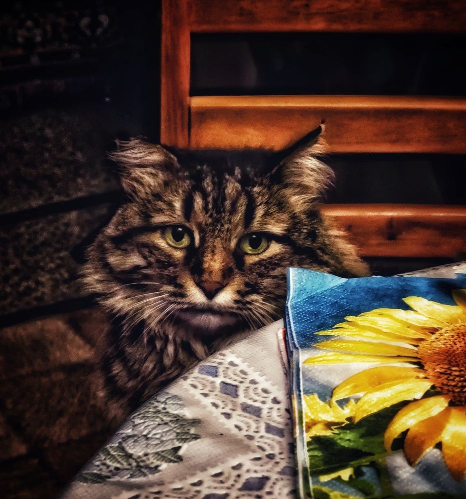 Photograph by Мирослава Сурженко