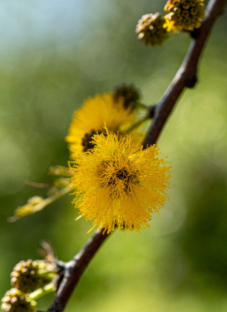 Photograph by Bryam Blanco