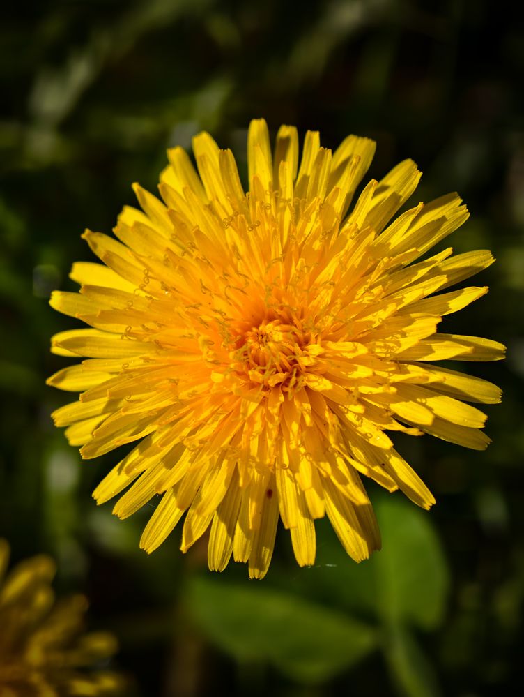 Photograph by Евгений Порсов