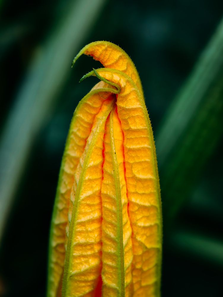 Photograph by Евгений Порсов