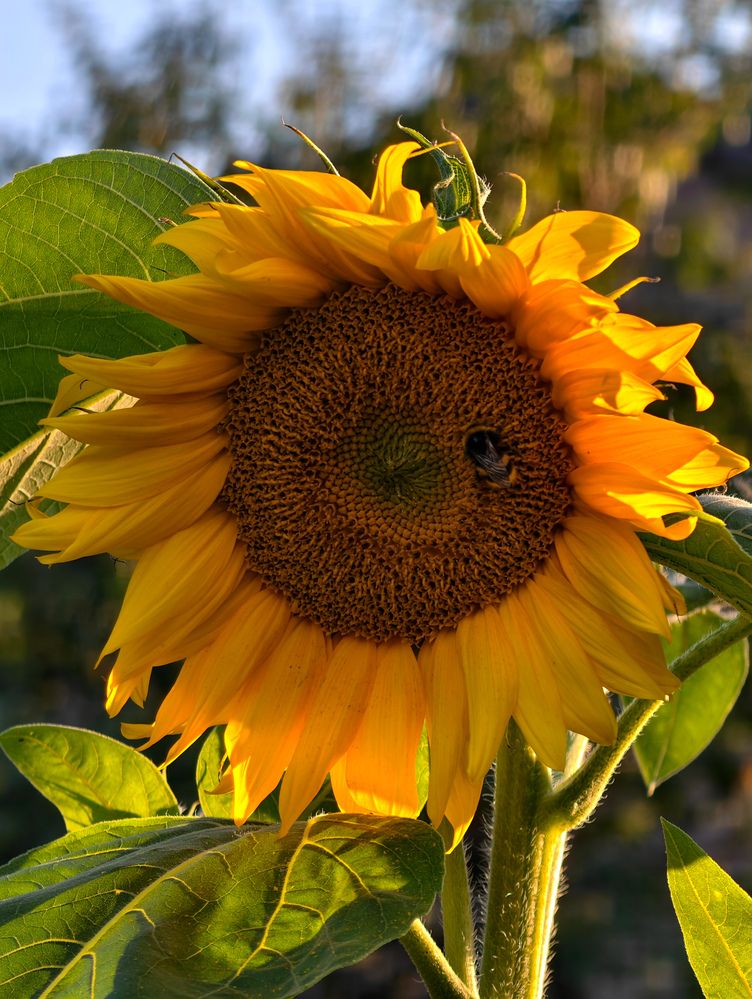 Photograph by Евгений Порсов