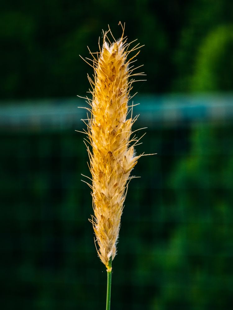 Photograph by Евгений Порсов