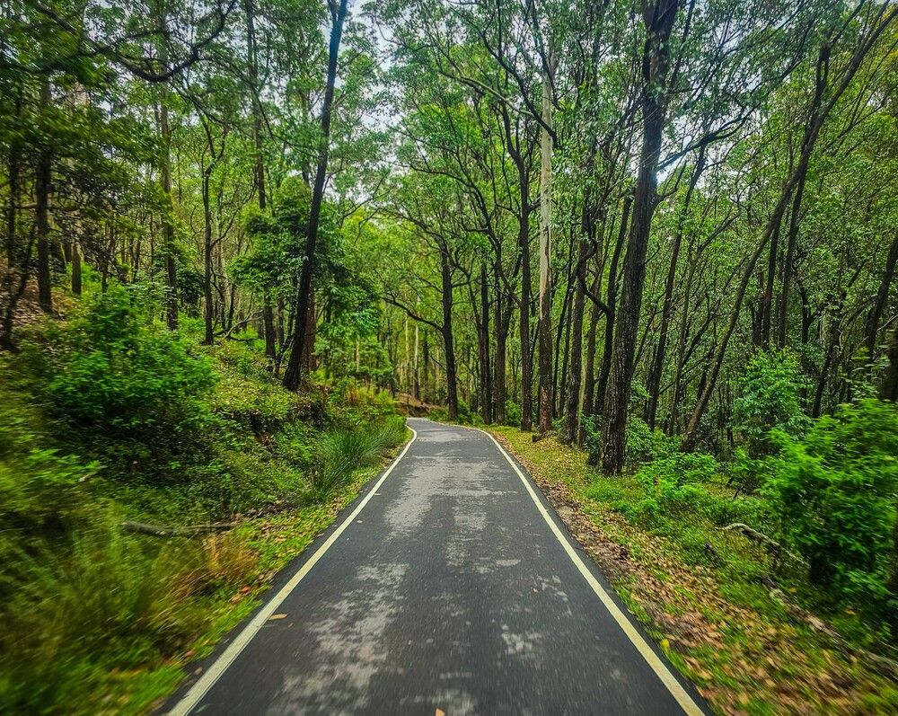 Photograph by Krishnaa Abilshan