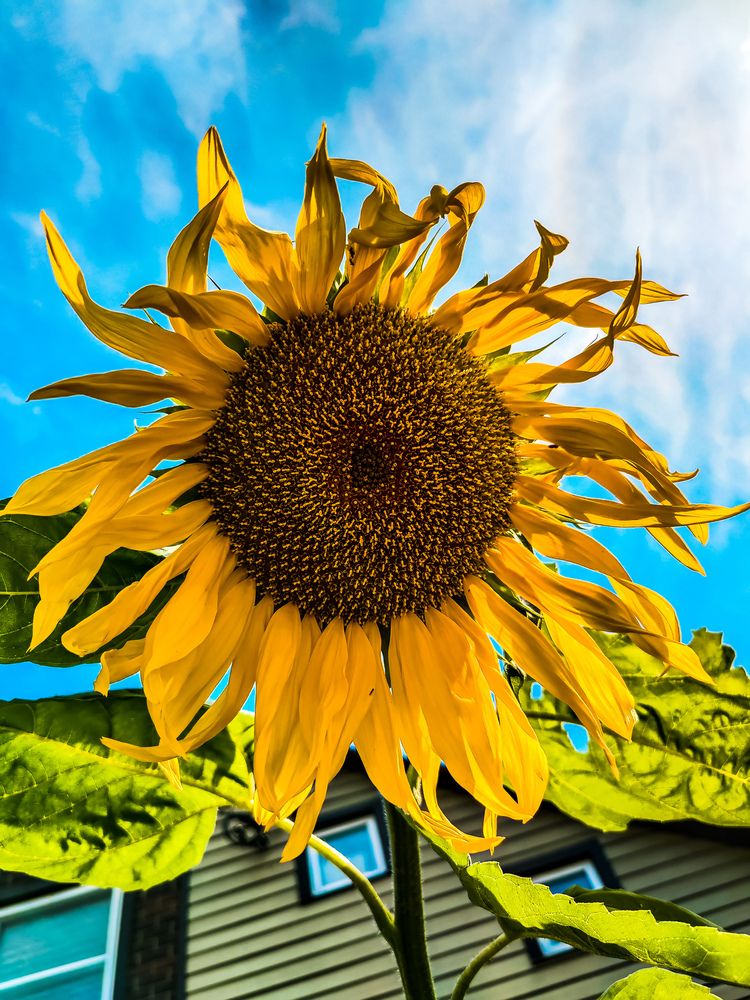 Photograph by Евгений Порсов