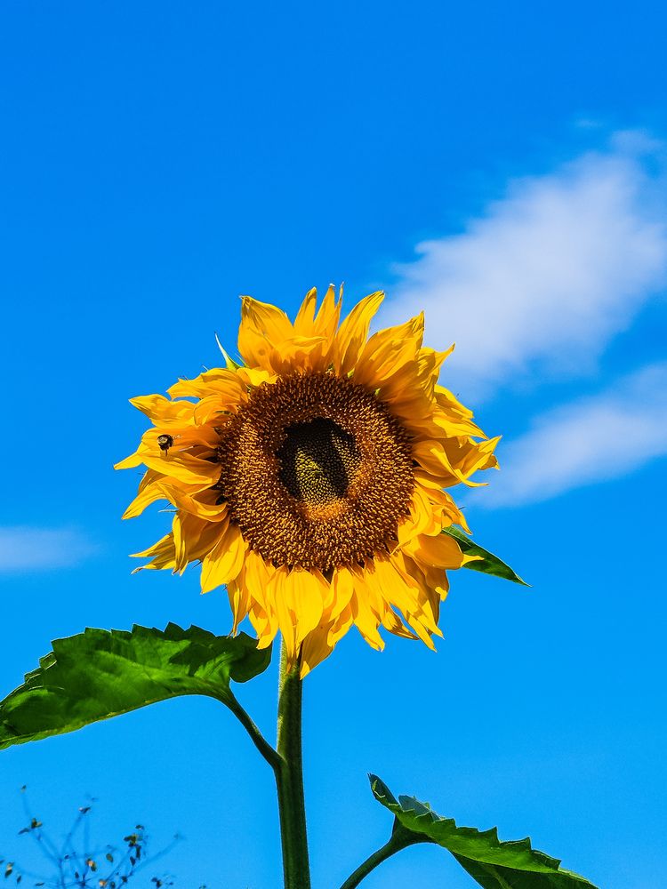 Photograph by Евгений Порсов