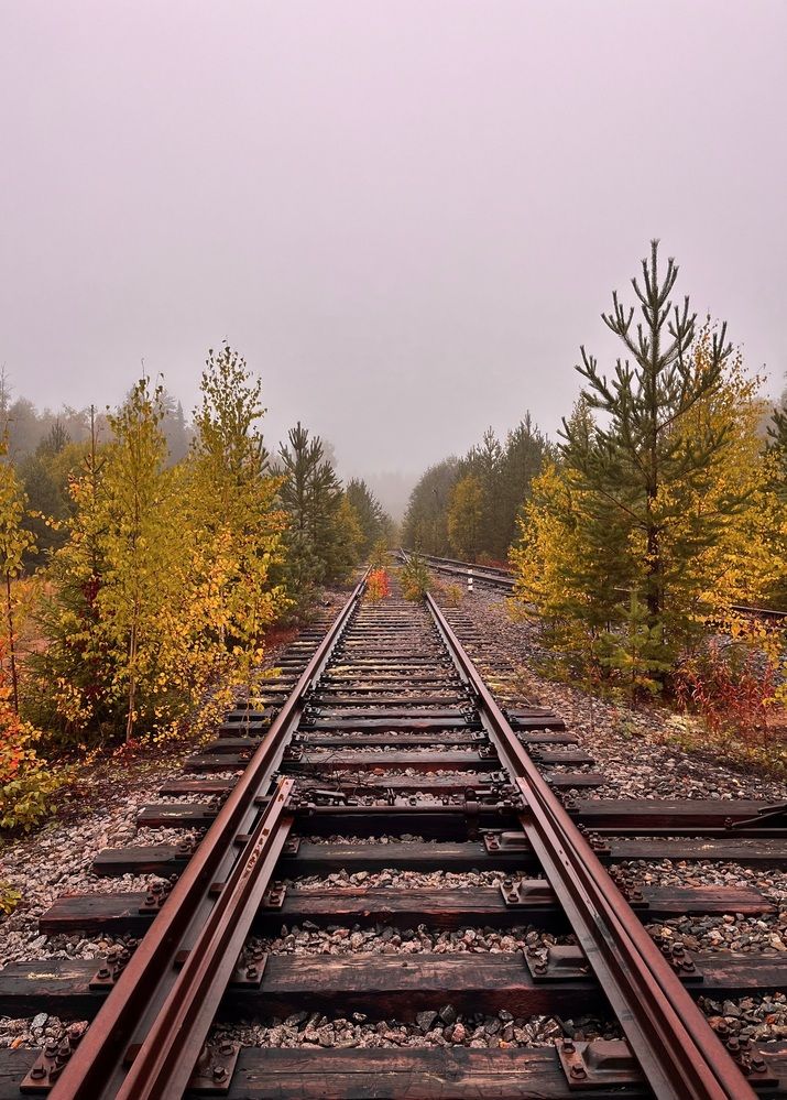 Photograph by Mariia Zinina