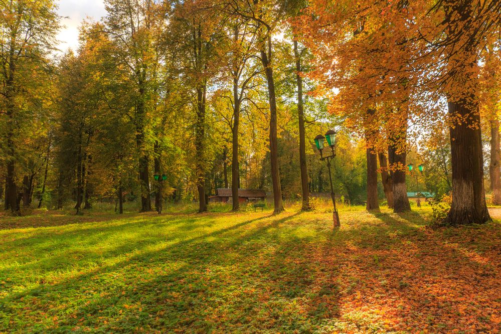 Photograph by Литвинов Александр