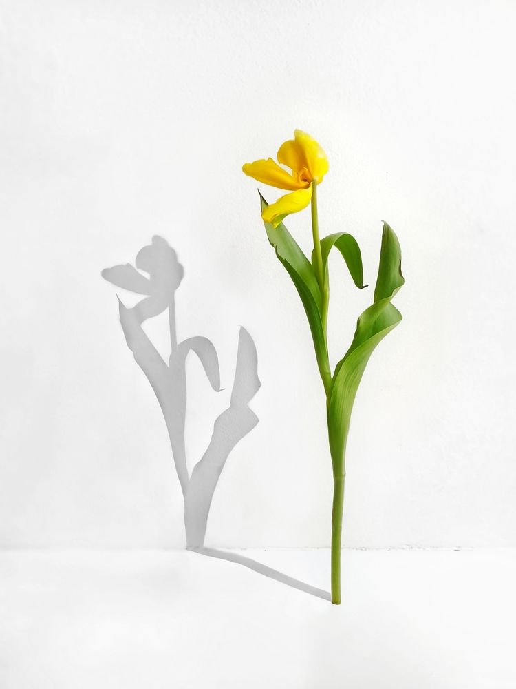 Фотография автора Татьяна Шахова