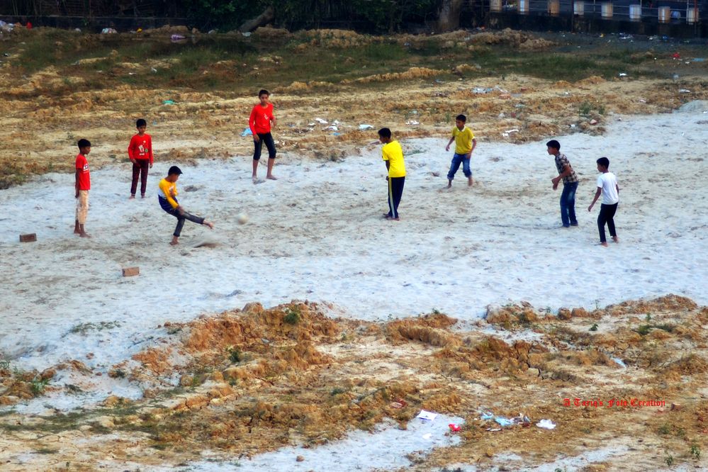 Photograph by Md. Tariq Been Habib