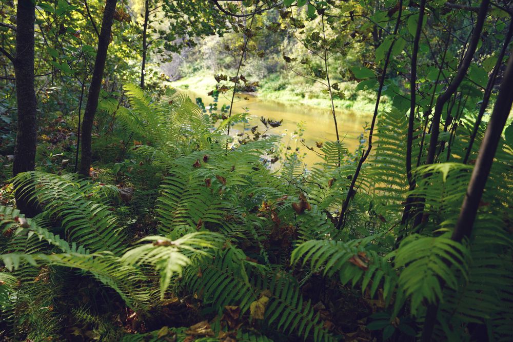 Photograph by Измаил Ефимов