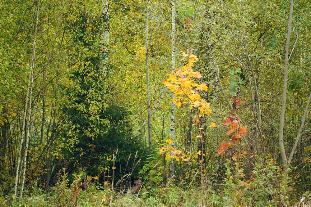 Photograph by Измаил Ефимов