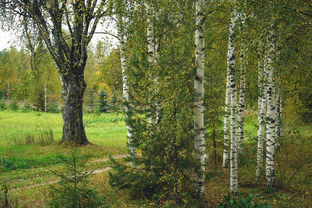 Photograph by Измаил Ефимов